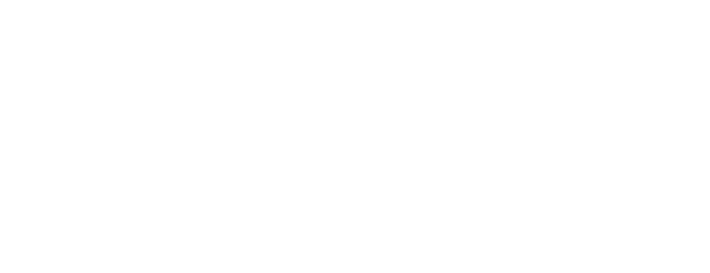 Rotary - People of Action